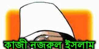কাজী নজরুল ইসলাম এর জীবনী বিস্তারিত সহ সকল প্রশ্ন উত্তর